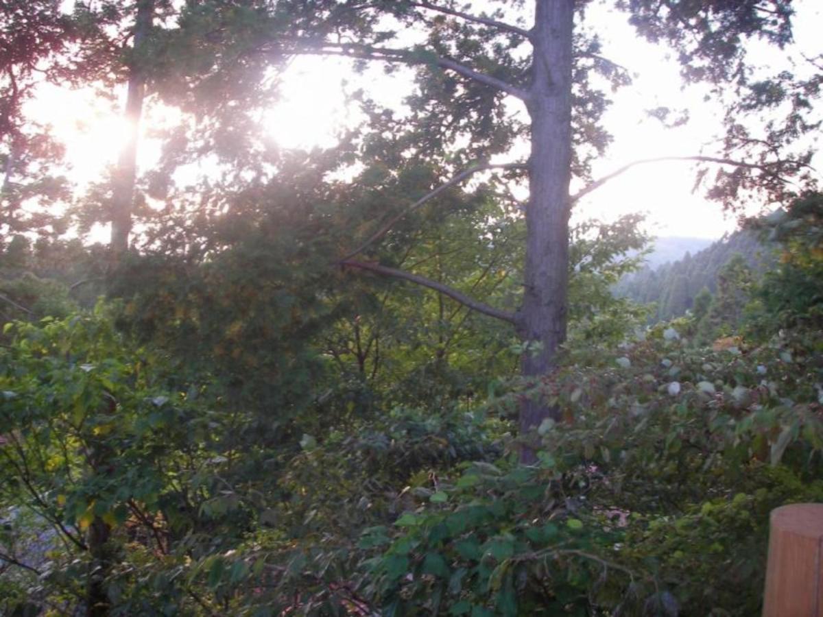 Log House For 12 People - Vacation Stay 35071V Minamioguni Exterior foto
